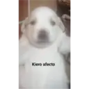 aaaaaaa3 18