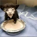 aaaaaaa3 8