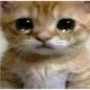 aaaaaaa3 15