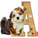 Abecedario 6 perrito 6