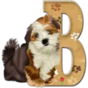 Abecedario 6 perrito 5