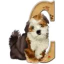 Abecedario 6 perrito 20