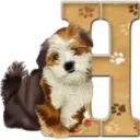 Abecedario 6 perrito 11