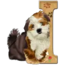 Abecedario 6 perrito 13
