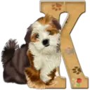 Abecedario 6 perrito 1