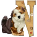 Abecedario 6 perrito 25