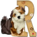 Abecedario 6 perrito 17