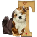 Abecedario 6 perrito 23