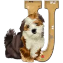 Abecedario 6 perrito 8