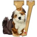 Abecedario 6 perrito 7