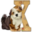 Abecedario 6 perrito 16