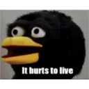 It hurts to live