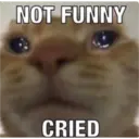 NOT FUNNY
CRIED
