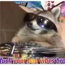 09
챠
fuck your bad vibes bro
