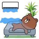 Brown summer 22