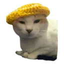 House of 7 Cats 23