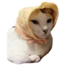 House of 7 Cats 21