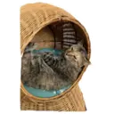 House of 7 Cats 5