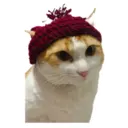House of 7 Cats 18