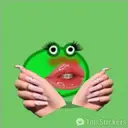 Chile Frogs 19
