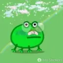Chile Frogs 17