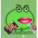 Chile Frogs 15
