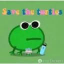 Chile Frogs 9