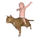 gifs 2