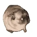 gifs 8