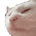gifs 17