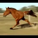 gifs 3