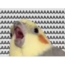 AAAAAAAAAAAAAAAAAAAAA
AAAAAAAAAAAAAAAAAAAAA
AAAAA
ААА/
AAA
ААА
AAA
AAA
AAA
^AAAAAAAAAA
^AAAAAAAA
4AAAAAA
4AAAAA
1AAAA
^4A