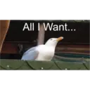 All I Want...