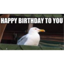 HAPPY BIRTHDAY TO YOU