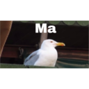 Ma