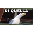 DI QUELLA