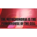 THE MITOCHONDRIA
IS THE
POWERHOUSE OF THE CELL