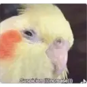Suspicion (((increase)))