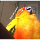 Ehehehhehehe