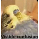 Visible confusion