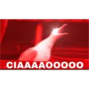inhales 3.0-Italia 6