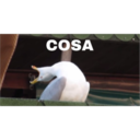 inhales 3.0-Italia 25