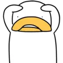LiP DuCk 15