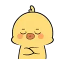 Lovely chick MOV 18