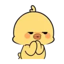 Lovely chick MOV 16