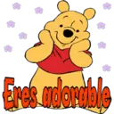 WINNIE THE POOH 27