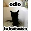odio
la bañacion