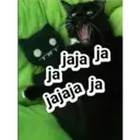 销扇
jajaja ja