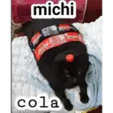 michi
Fare
CLASSE
cola
Voca-Cola