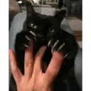 gatito negro 15